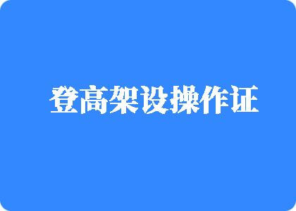 鸡巴插入逼登高架设操作证