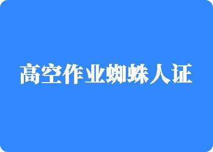 瘦子探花梦幻馆高空作业蜘蛛人证